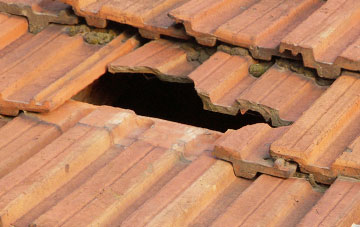 roof repair Dunnichen, Angus